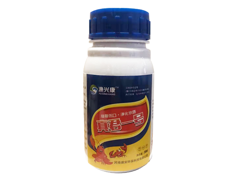 真君一号.png